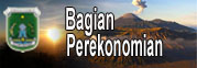 Website Bagian Perekonomian